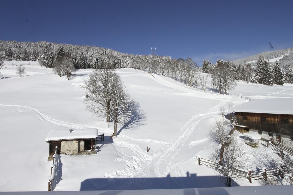 Eberharthof Apartment Saalbach-Hinterglemm Bagian luar foto